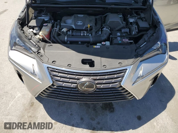 2019 Lexus NX 300 with VIN JTJYARBZ7K2156749, listed as a Copart auction lot 53250905 with 60,174 mi miles and Salvage title. Bid and sale history available at DreamBid. Image 12.