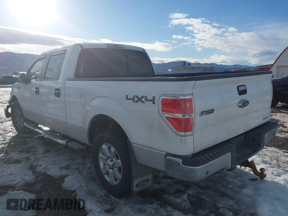 2013 Ford F-150 XL with VIN 1FTFW1EF7DKD91041, listed as a IAAI auction lot 41648747 with 170,052 mi miles. Bid and sale history available at carsss.com. Image 3.