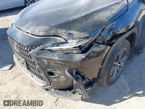 2024 Lexus NX 350 Luxury with VIN 2T2HGCEZ2RC042465, listed as a IAAI auction lot 41340973 with 12,918 mi miles and . Bid and sale history available at DreamBid. Image 6.