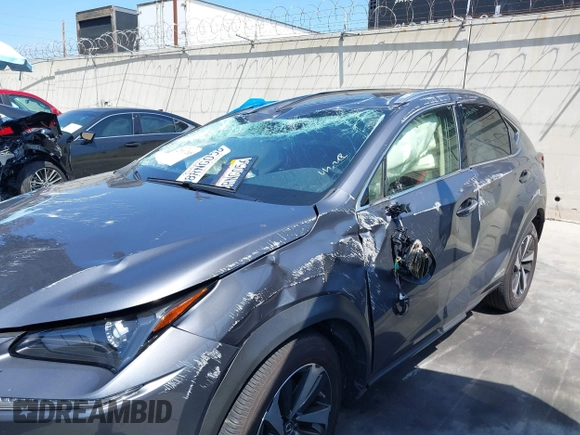 2020 Lexus NX 300h with VIN JTJGJRDZ7L5008111, listed as a IAAI auction lot 42116245 with Not provided miles and . Bid and sale history available at DreamBid. Image 6.