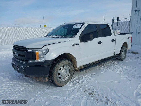 2019 Ford F-150 XL with VIN 1FTFW1E52KKD52023, listed as a IAAI auction lot 41483384 with 144,471 mi miles. Bid and sale history available at carsss.com. Image 2.