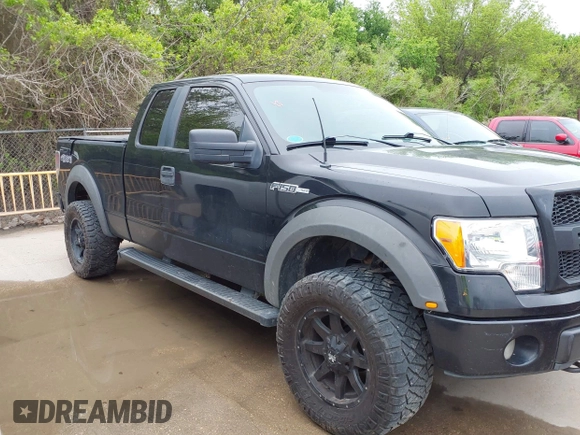 2010 Ford F-150 XL with VIN 1FTEX1EW1AFB90443, listed as a IAAI auction lot 41955720 with 184,104 mi miles. Bid and sale history available at carsss.com. Image 13.