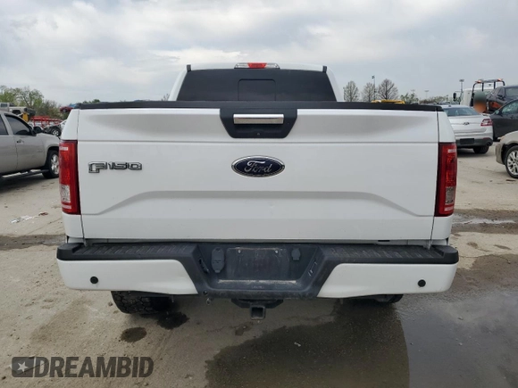 2017 Ford F-150 XL with VIN 1FTFW1EG1HFA28306, listed as a Copart auction lot 52254815 with 0 mi miles and Salvage Title. Bid and sale history available at carsss.com. Image 6.