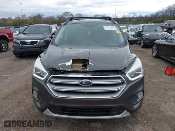 2017 Ford Escape SE with VIN 1FMCU0GD9HUE90819, listed as a IAAI auction lot 41837745 with 123,543 mi miles. Bid and sale history available at carsss.com. Image 12.