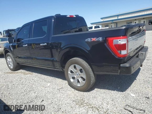 2023 Ford F-150 XL with VIN 1FTFW1E80PFC00462, listed as a Copart auction lot 50868535 with 23,119 mi miles and Salvage Title. Bid and sale history available at carsss.com. Image 2.