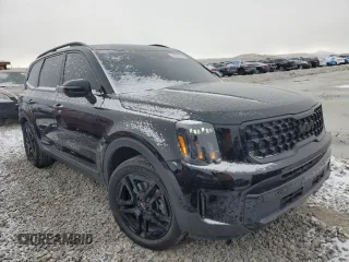 2024 Kia Telluride EX with VIN 5XYP3DGC9RG424653, listed as a Copart auction lot 44576655 with 27,418 mi miles and Salvage Title. Bid and sale history available at carsss.com. Image 4.