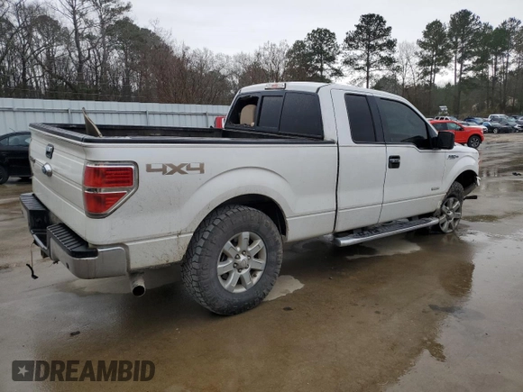 2013 Ford F-150 XL with VIN 1FTFX1ET9DFA03464, listed as a Copart auction lot 48039815 with 256,940 mi miles and Salvage Title. Bid and sale history available at carsss.com. Image 3.