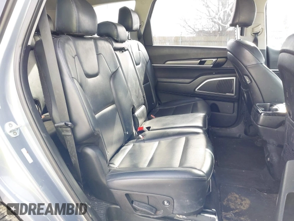 2020 Kia Telluride LX with VIN 5XYP2DHC4LG010074, listed as a IAAI auction lot 41700954 with 112,413 mi miles and . Bid and sale history available at carsss.com. Image 8.