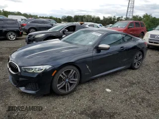 2019 BMW 8 Series M850i xDrive with VIN WBABC4C5XKBU95875, listed as a Copart auction lot 61893343 with 17,250 mi miles. Bid and sale history available at carsss.com. Image 1.