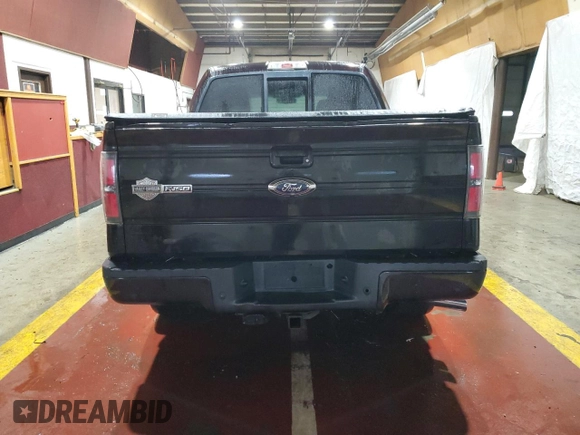 2010 Ford F-150 with VIN 1FTEW1CV3AFA48561, listed as a Copart auction lot 56859225 with 170,896 mi miles and Clean title. Bid and sale history available at DreamBid. Image 6.