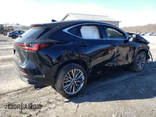 2023 Lexus NX with VIN 2T2HGCEZ1PC019322, listed as a Copart auction lot 82675903 with 0 mi miles. Bid and sale history available at carsss.com. Image 3.