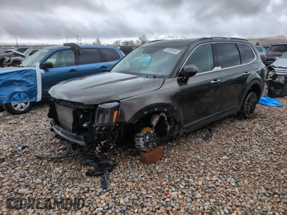 2023 Kia Telluride SX X-Line with VIN 5XYP5DGC8PG333753, listed as a Copart auction lot 50998465 with 13,522 mi miles and Salvage title. Bid and sale history available at DreamBid. Image 1.