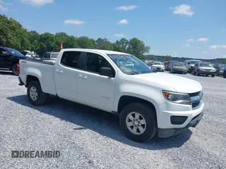 2018 Chevrolet Colorado 4WD Work Truck with VIN 1GCGTBEN0J1263039, listed as a IAAI auction lot 42673184 with 175,445 mi miles and . Bid and sale history available at DreamBid. Image 1.