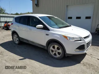 2014 Ford Escape SE with VIN 1FMCU9GX4EUB52092, listed as a Copart auction lot 55320285 with 208,918 mi miles and Clean Title. Bid and sale history available at carsss.com. Image 4.