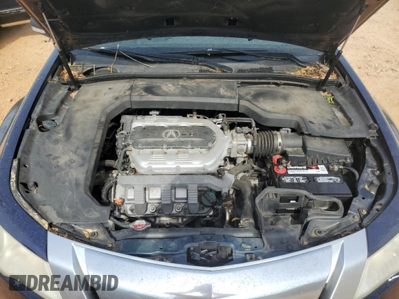 2009 Acura TL Technology z VIN 19UUA86549A009566, wystawiony jako Copart lot #54732455 z przebiegiem 248 257 mil mil oraz Szkoda całkowita • Salvage title. Historia ofert i sprzedaży dostępna na DreamBid. Obrazek 11.