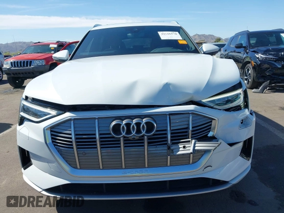 2021 Audi e-tron Premium Plus with VIN WA1LAAGE6MB002079, listed as a IAAI auction lot 42116578 with 48,357 mi miles. Bid and sale history available at carsss.com. Image 6.