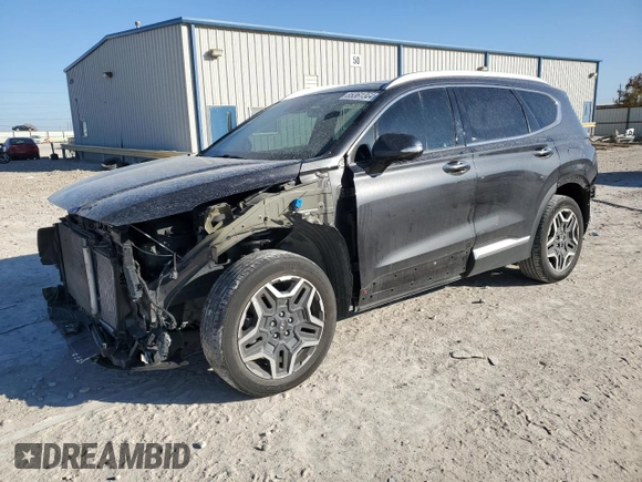 2022 Hyundai Santa Fe Limited with VIN 5NMS44AL4NH427749, listed as a Copart auction lot 85361364 with 45,820 mi miles and Salvage Title. Bid and sale history available at carsss.com. Image 1.