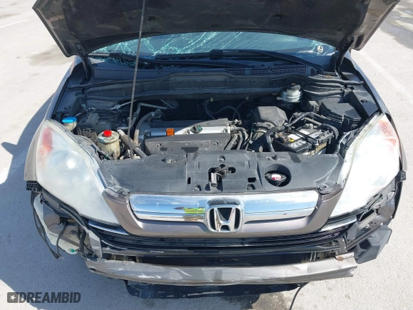 2009 Honda CR-V EX-L with VIN 5J6RE487X9L055661, listed as a IAAI auction lot 41784412 with 208,214 mi miles. Bid and sale history available at carsss.com. Image 10.