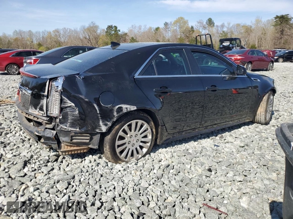 2011 Cadillac CTS Performance with VIN 1G6DJ5ED2B0153556, listed as a Copart auction lot 50429865 with Not Provided miles and Salvage Title. Bid and sale history available at DreamBid. Image 3.