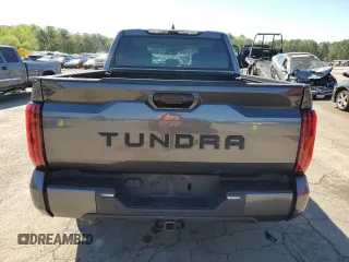 2022 Toyota Tundra SR5 with VIN 5TFLA5AB3NX009801, listed as a Copart auction lot 49465614 with 19,376 mi miles and Salvage title. Bid and sale history available at DreamBid. Image 6.