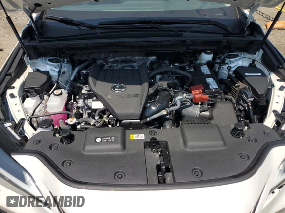 2024 Lexus NX 350 Premium with VIN 2T2GGCEZ0RC056702, listed as a Copart auction lot 62602755 with 13,317 mi miles and Salvage title. Bid and sale history available at DreamBid. Image 12.