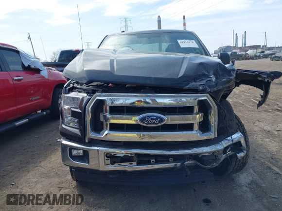 2017 Ford F-150 XL with VIN 1FTEW1EP8HFB36921, listed as a IAAI auction lot 41910478 with 138,201 mi miles. Bid and sale history available at carsss.com. Image 6.
