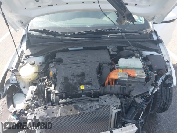 2019 Hyundai Ioniq Blue with VIN KMHC65LCXKU166533, listed as a IAAI auction lot 42090460 with 109,703 mi miles and . Bid and sale history available at DreamBid. Image 10.