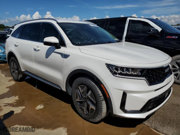 2022 Kia Sorento Hybrid EX with VIN KNDRH4LG6N5066448, listed as a Copart auction lot 73642584 with 49,452 mi miles and Non Repairable. Bid and sale history available at carsss.com. Image 4.