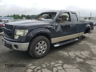 2009 Ford F-150 STX with VIN 1FTRX14819KB81135, listed as a Copart auction lot 61414765 with Not provided miles and Salvage title. Bid and sale history available at DreamBid. Image 1.