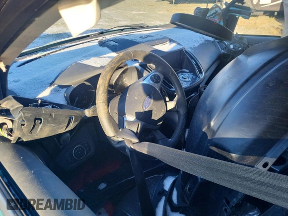 2013 Ford Escape SEL with VIN 1FMCU9H97DUA96163, listed as a Copart auction lot 81974064 with Not Provided miles and Non Repairable. Bid and sale history available at DreamBid. Image 8.
