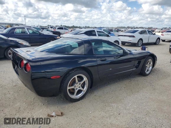 2002 Chevrolet Corvette with VIN 1G1YY22G225121306, listed as a Copart auction lot 74079384 with Not Provided miles and Salvage Title. Bid and sale history available at carsss.com. Image 3.