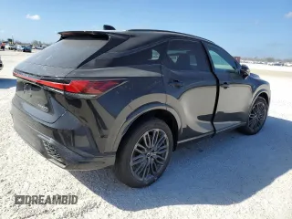 2024 Lexus RX with VIN 2T2BCMEA1RC014397, listed as a Copart auction lot 73970934 with Not Provided miles and Salvage Title. Bid and sale history available at carsss.com. Image 3.