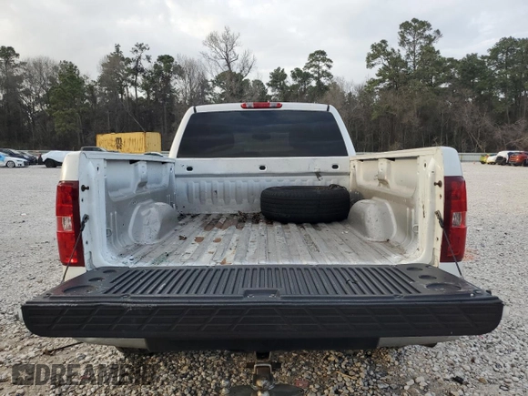 2010 Chevrolet Silverado 1500 LS with VIN 1GCSCREA9AZ272646, listed as a Copart auction lot 48374965 with 290,276 mi miles and Salvage Title. Bid and sale history available at carsss.com. Image 6.