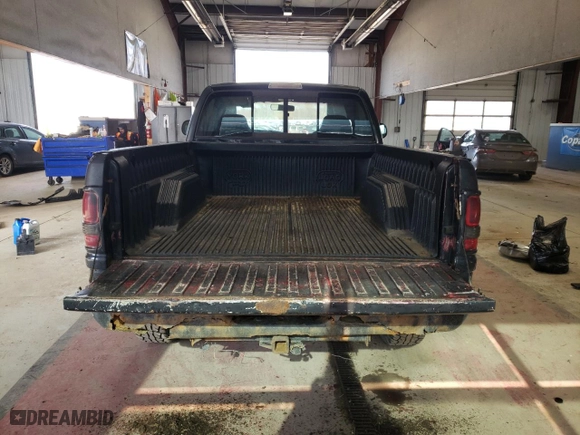 1999 Dodge Ram 1500 with VIN 1B7HF16Y4XS146923, listed as a Copart auction lot 48548615 with 247,260 mi miles and Salvage Title. Bid and sale history available at carsss.com. Image 6.