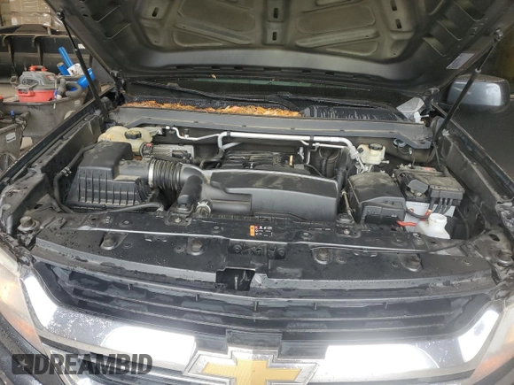 2016 Chevrolet Colorado 2WD WT with VIN 1GCGSBEA7G1325044, listed as a Copart auction lot 60466905 with 175,714 mi miles and Salvage title. Bid and sale history available at DreamBid. Image 11.