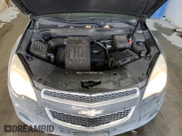 2013 Chevrolet Equinox LS with VIN 2GNALBEK2D6362885, listed as a Copart auction lot 53356125 with 122,209 mi miles and Clean Title. Bid and sale history available at carsss.com. Image 12.