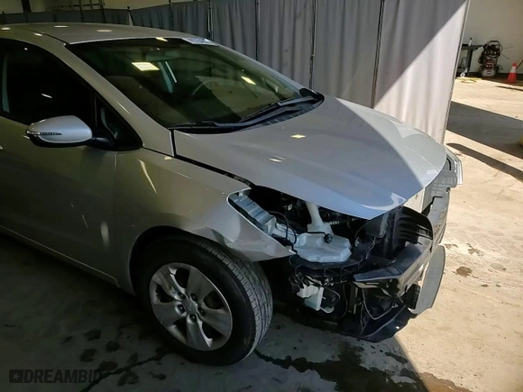 2017 Kia Forte5 LX with VIN KNAFK5A85H5700887, listed as a Copart auction lot 49784855 with NaN miles and Salvage Title. Bid and sale history available at carsss.com. Image 14.