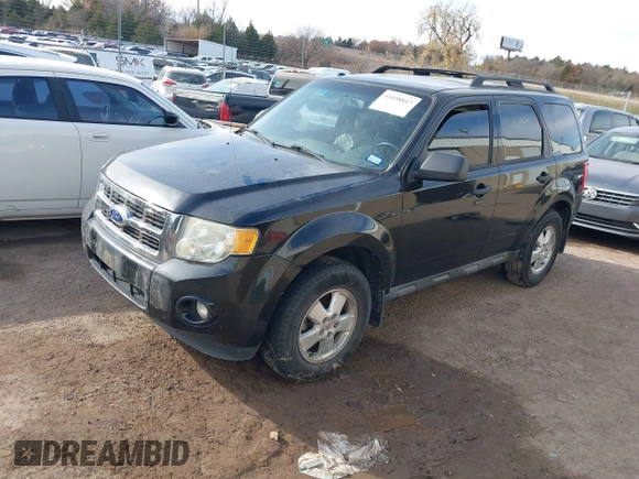 2011 Ford Escape XLT with VIN 1FMCU9DG3BKB95799, listed as a IAAI auction lot 41058817 with Not provided miles and . Bid and sale history available at DreamBid. Image 2.