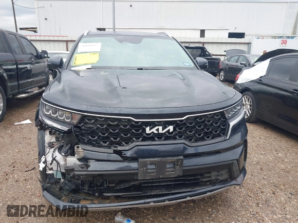 2022 Kia Sorento S with VIN KNDRG4LG0N5113413, listed as a IAAI auction lot 41899057 with 69,293 mi miles and . Bid and sale history available at DreamBid. Image 12.