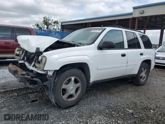 2007 Chevrolet TrailBlazer LS with VIN 1GNDS13S972249403, listed as a Copart auction lot 52070115 with 195,419 mi miles and Salvage Title. Bid and sale history available at DreamBid. Image 1.