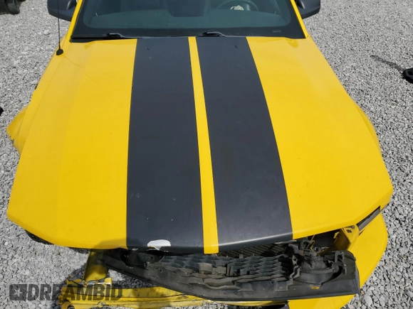 2006 Ford Mustang GT Deluxe with VIN 1ZVHT82H765172787, listed as a Copart auction lot 52539725 with 161,409 mi miles and Salvage Title. Bid and sale history available at carsss.com. Image 13.