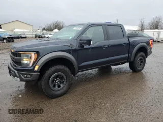 2023 Ford F-150 Raptor with VIN 1FTFW1RG0PFD16861, listed as a Copart auction lot 52928285 with 19,454 mi miles and Salvage Title. Bid and sale history available at DreamBid. Image 1.