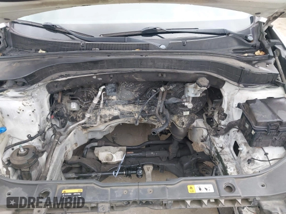 2014 Kia Sorento LX with VIN 5XYKT3A66EG486609, listed as a IAAI auction lot 42040281 with Not Provided miles and . Bid and sale history available at DreamBid. Image 10.