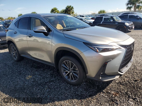 2022 Lexus NX 250 Premium with VIN JTJGDCAZ9N5002290, listed as a Copart auction lot 74058684 with Not provided miles and Salvage title. Bid and sale history available at DreamBid. Image 4.