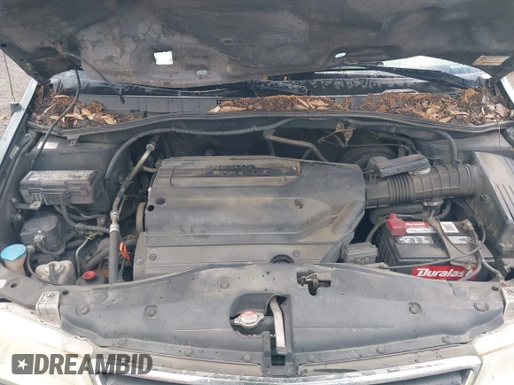 2003 Honda Odyssey EX-L with VIN 5FNRL18943B146897, listed as a IAAI auction lot 42144055 with 364,223 mi miles and . Bid and sale history available at DreamBid. Image 10.