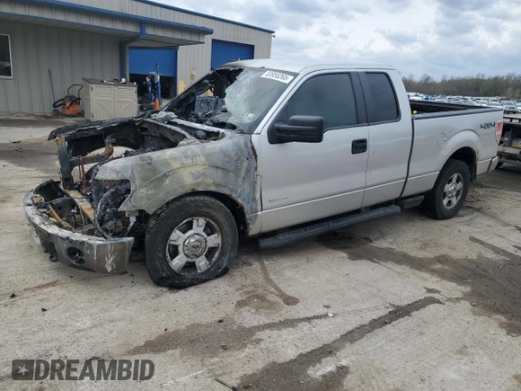2011 Ford F-150 XL with VIN 1FTFX1ET8BFD05695, listed as a Copart auction lot 53955265 with 0 mi miles and Salvage Title. Bid and sale history available at carsss.com. Image 1.