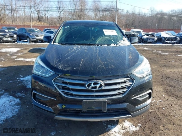 2017 Hyundai Santa Fe Sport 2.4L with VIN 5NMZTDLB6HH046110, listed as a IAAI auction lot 41417911 with NaN miles. Bid and sale history available at carsss.com. Image 12.