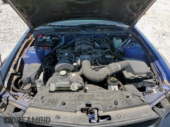2005 Ford Mustang Deluxe z VIN 1ZVFT80N255187566, wystawiony jako Copart lot #58336465 z przebiegiem 161 139 mil mil oraz Czysty tytuł • Clean title. Historia ofert i sprzedaży dostępna na DreamBid. Obrazek 11.