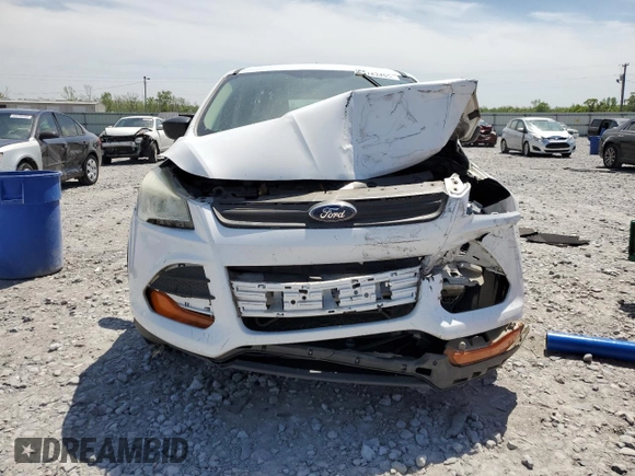 2014 Ford Escape S с VIN 1FMCU0F75EUB21799, выставлен на аукционе Copart как лот 57575645 с пробегом 264 813 миль миль и Списание • Salvage title. История ставок и продаж доступна на DreamBid. Изображение 5.