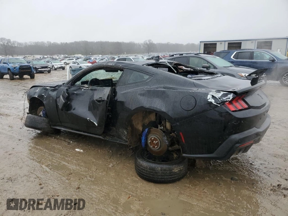 2024 Ford Mustang Dark Horse with VIN 1FA6P8R05R5501561, listed as a Copart auction lot 44746535 with 9,159 mi miles and Salvage Title. Bid and sale history available at carsss.com. Image 2.